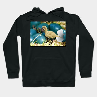 Raptor chick Hoodie